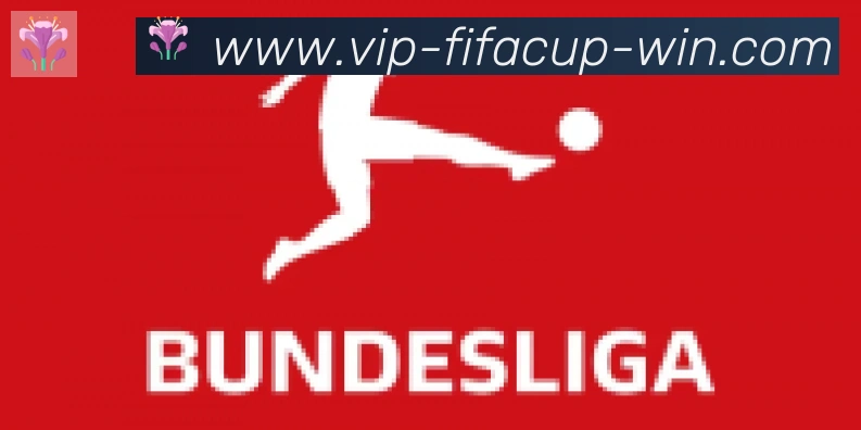 FIFA世界杯投注入口合作伙伴